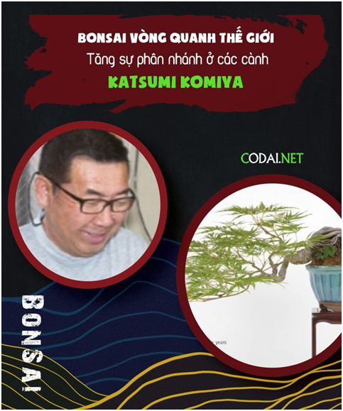 Обложка международного журнала Bonsai Focus c анонсом статьи Dũng Cá Xinh о технике ветвления бонсай с помощью обрезки и прививки ветвей от мастера Кацуми Комия, 2021 г.  
Источник: https://codai.net/bac-thay-bonsai-katsumi-komiya-huong-dan-tang-su-phan-nhanh-o-cac-canh-cay-bonsai/
