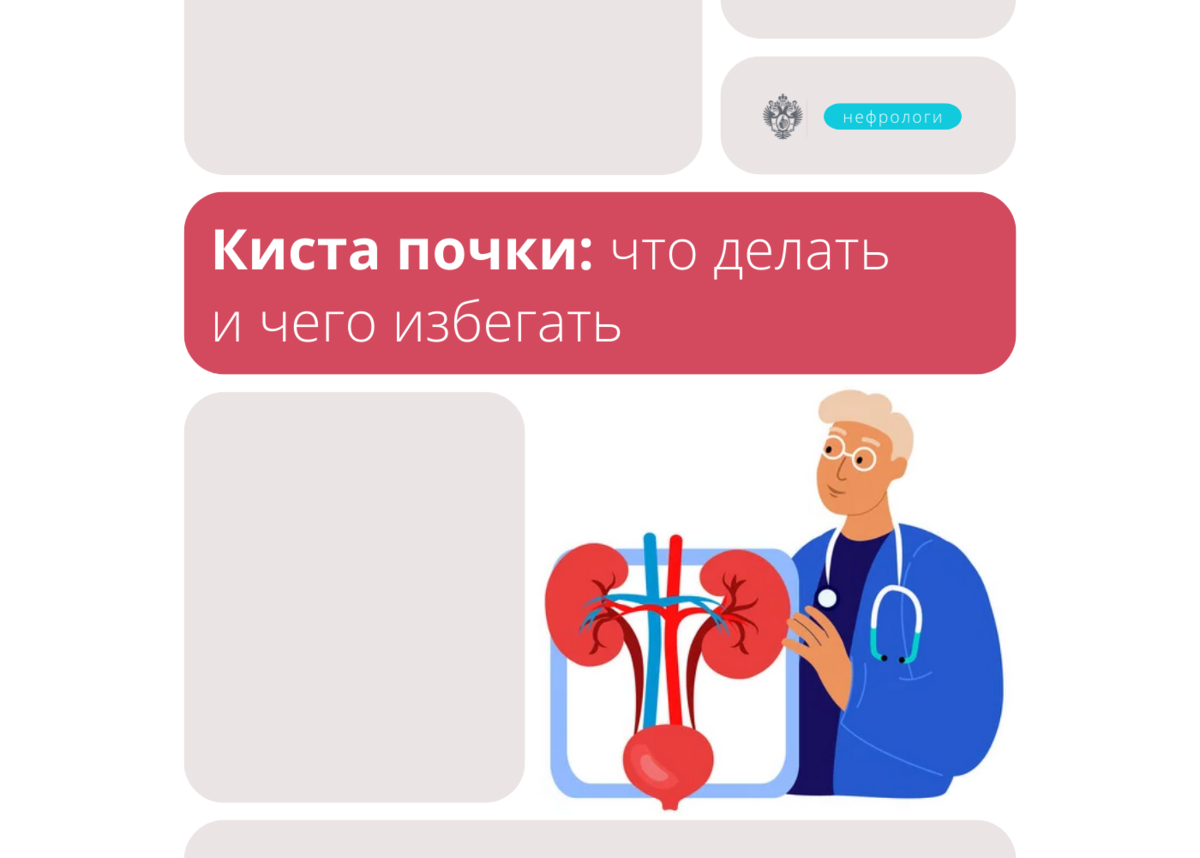 Киста почки: что делать и чего избегать | Клиника Пирогова СПбГУ | Дзен