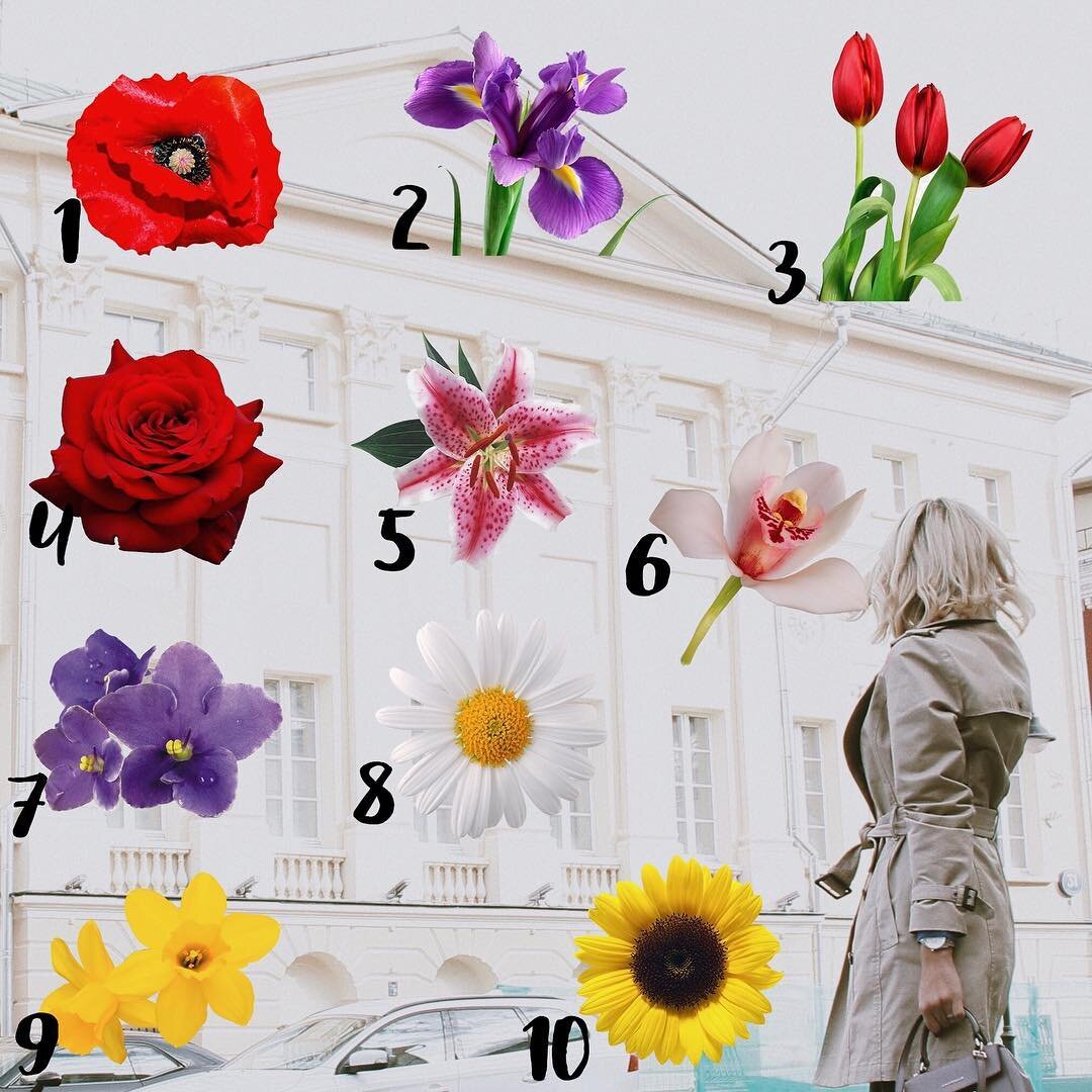 Психологический тест с цветами 