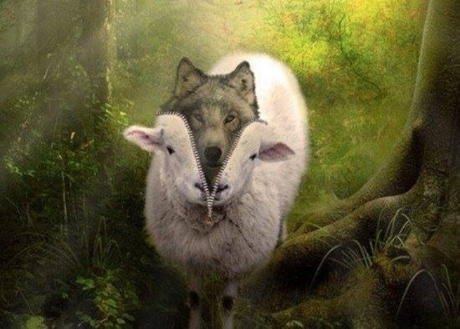 Источник: Яндекс-Картинки