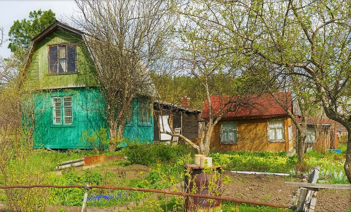 старые дачи