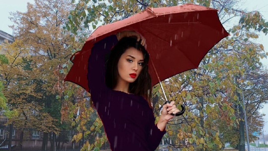 Источник: https://www.pixabay.com