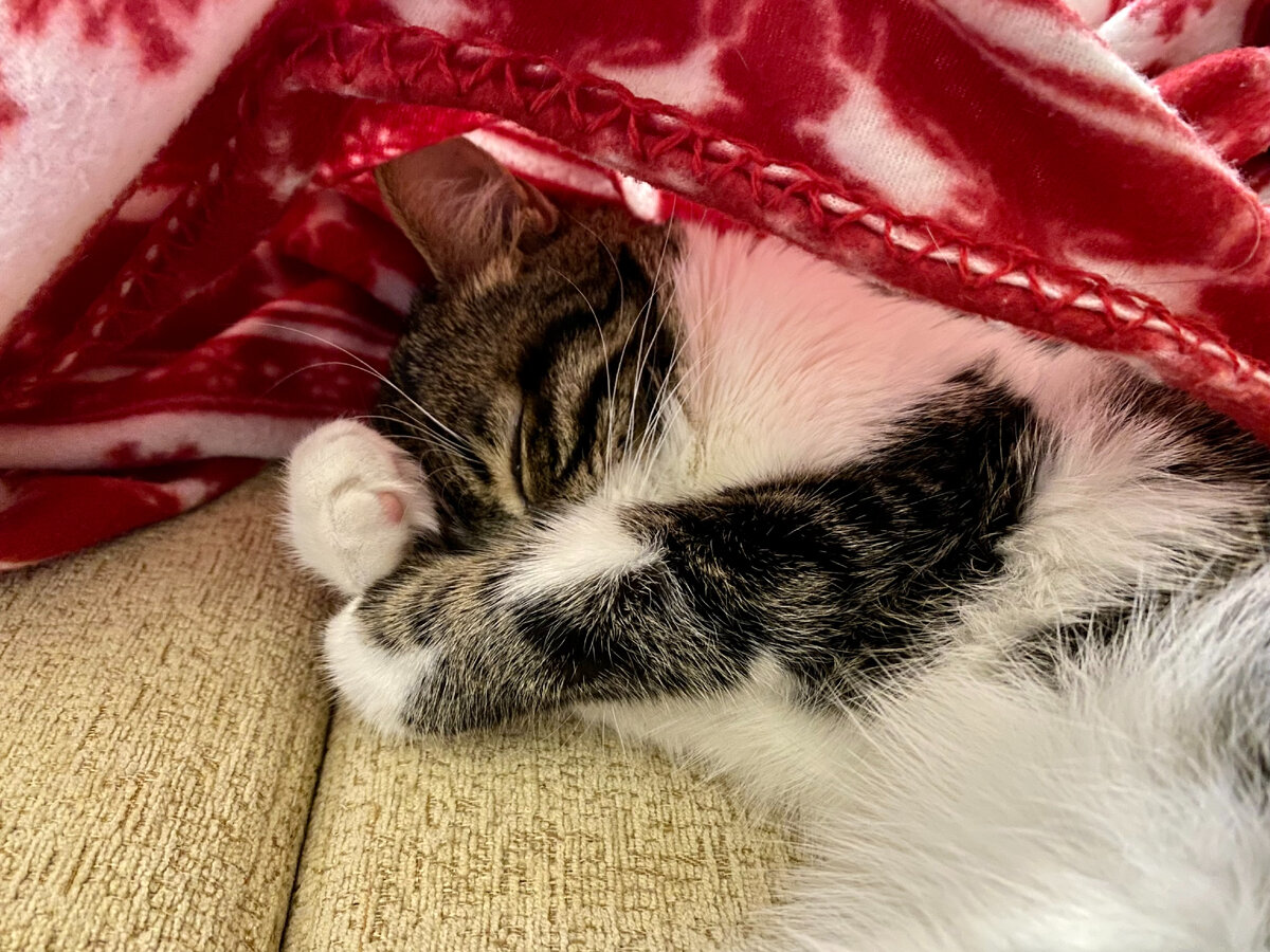 Очень крепко уснул малыш