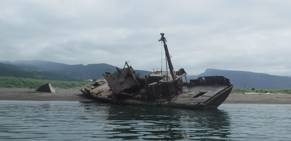 Фото: 32.rpn.gov.ru