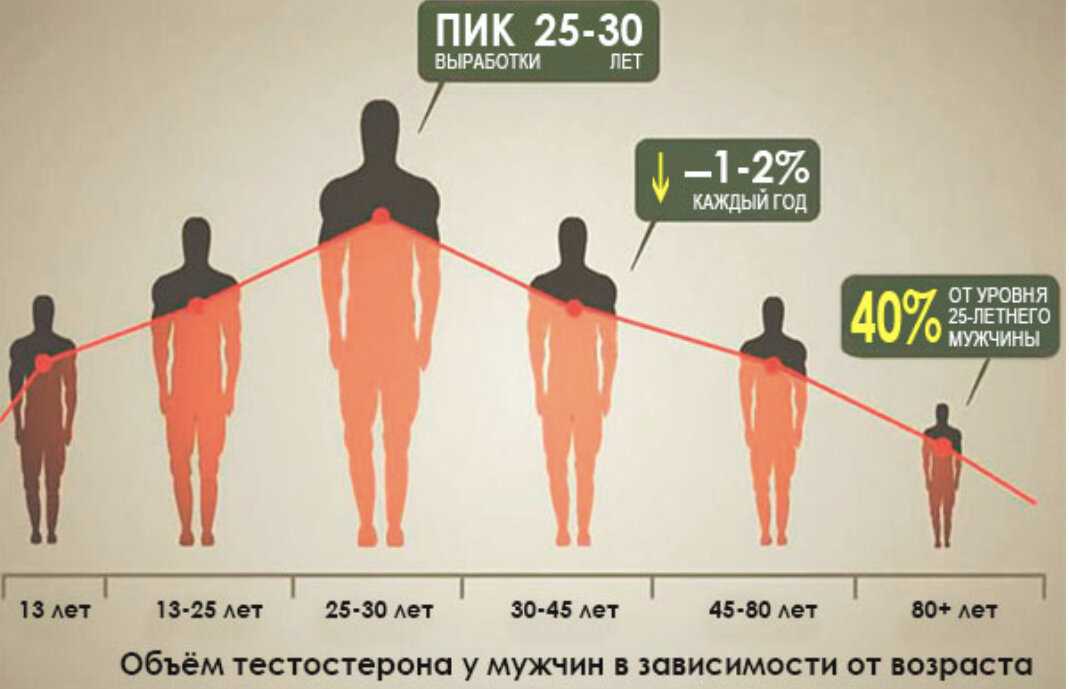 Считаются нормальными для человека в. Уровень тестостерона. Уровень тестостерона в зависимости от возраста. Уровень тестостерона по годам. Уровень тестостерона у мужчин.