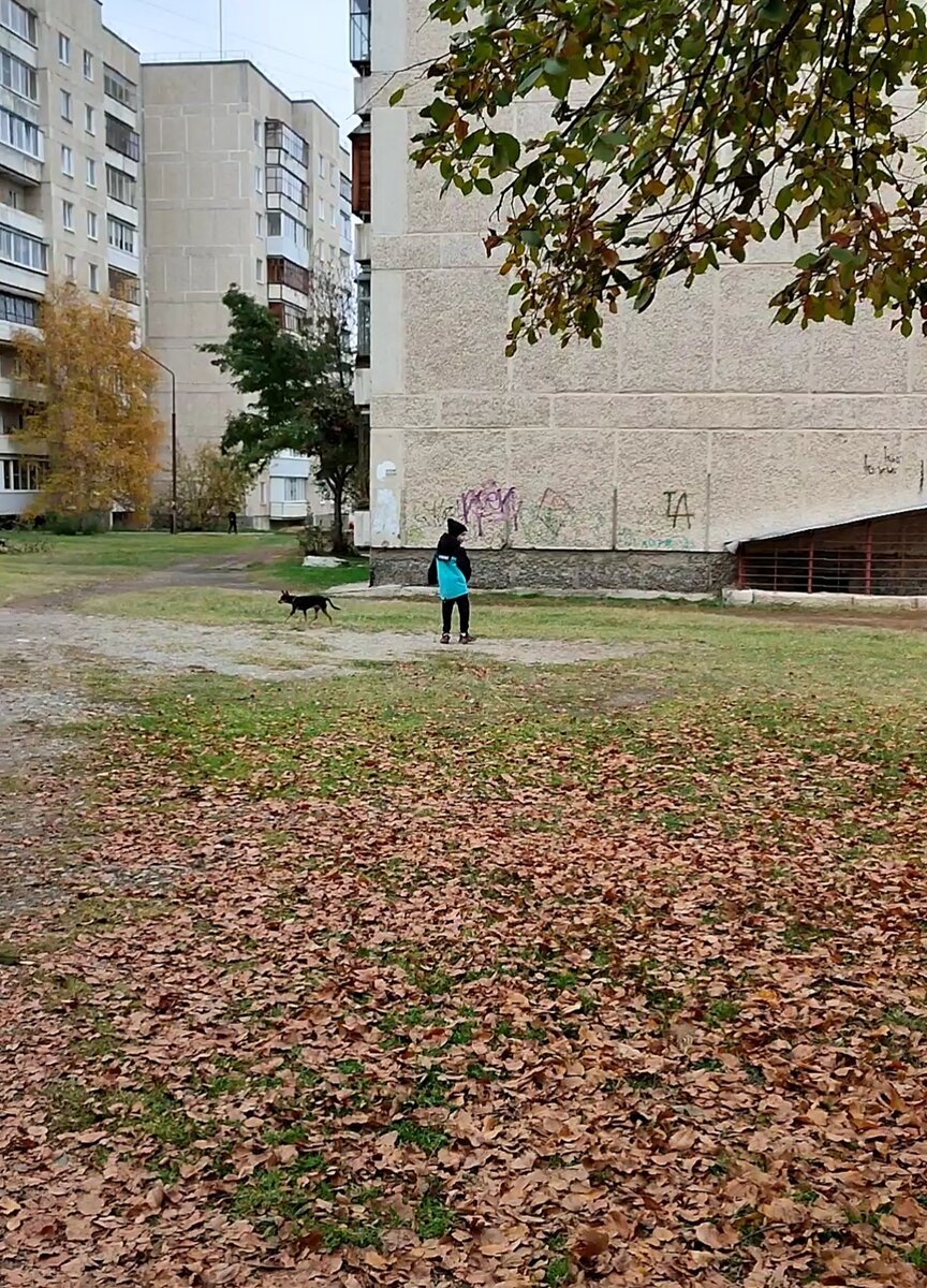 фото автора. 