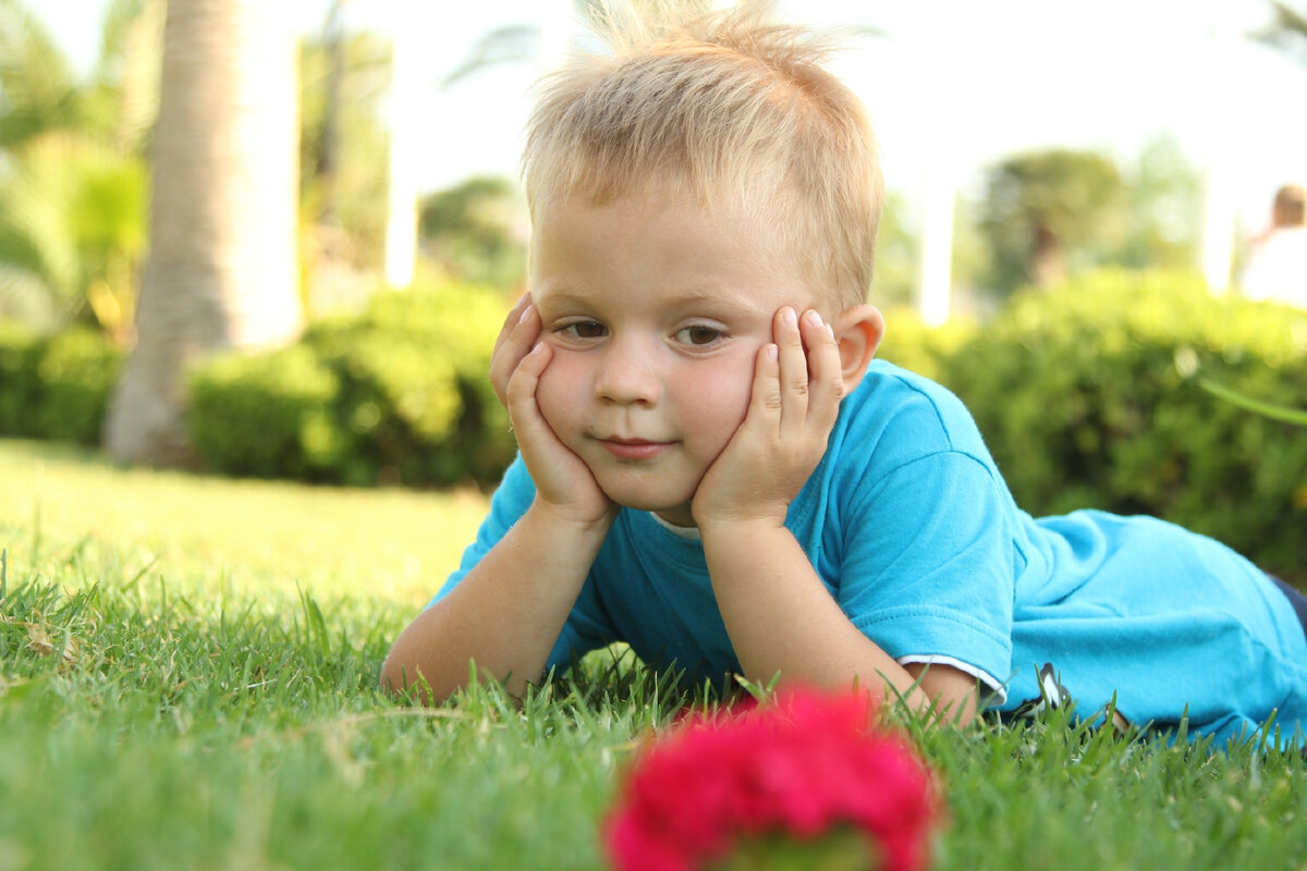 Мой мечтательный сынок 