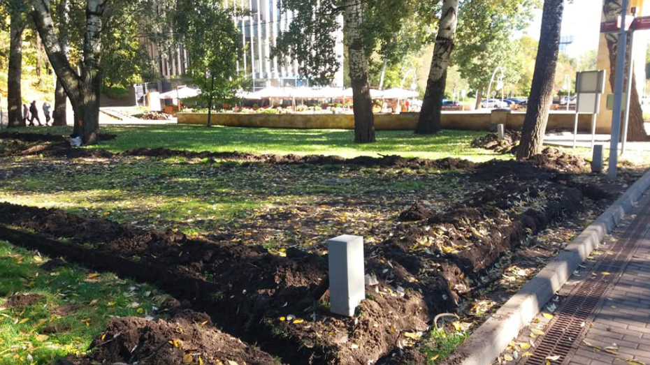   Автор фото: пресс-служба мэрии Воронежа