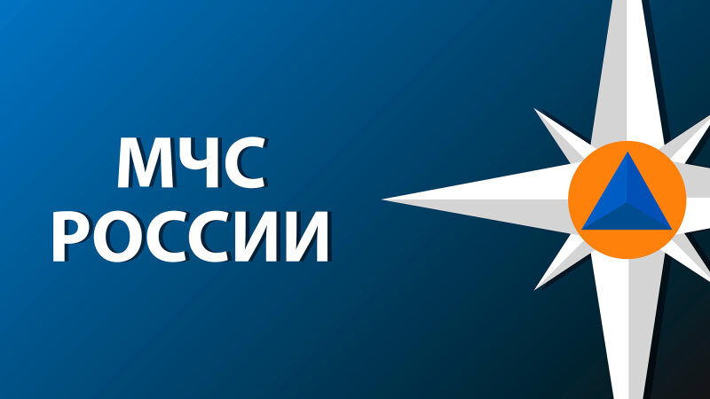    Источник: ГУ МЧС по Рязанской области