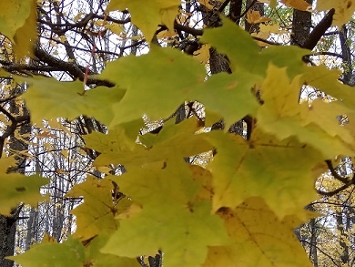 Фото из личного архива автора