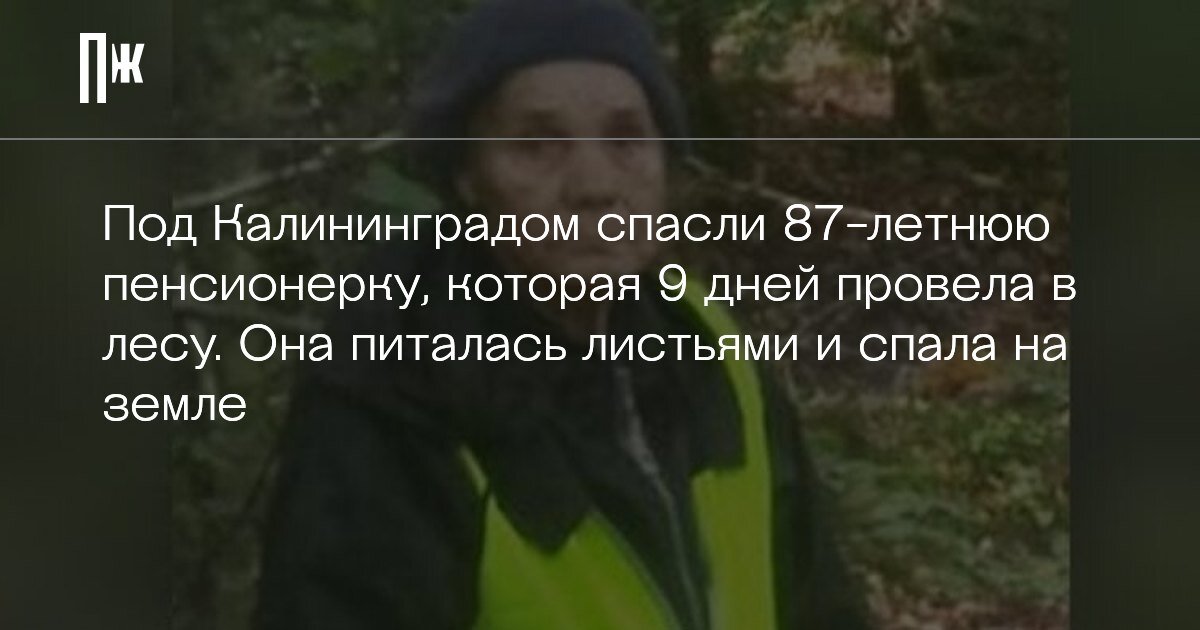     Под Калининградом спасли 87-летнюю пенсионерку, которая 9 дней провела в лесу. Она питалась листьями и спала на земле