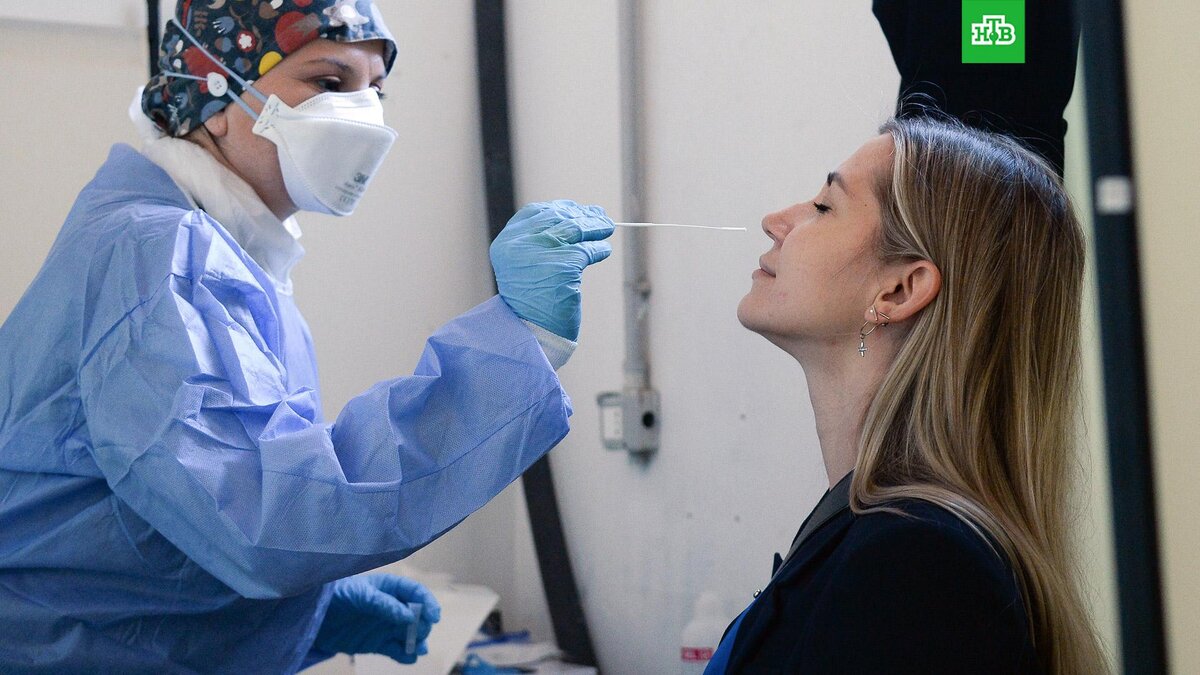    Фото: РИА Новости © 2022, Алексей Витвицкий