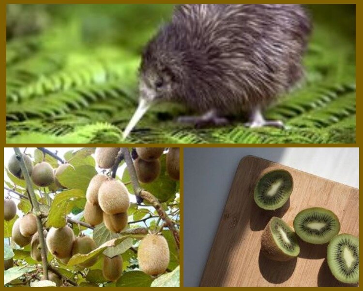 Коллаж автора