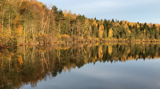 Осеннее озеро. Сбор помидор в теплице в октябре. Новые посадки.