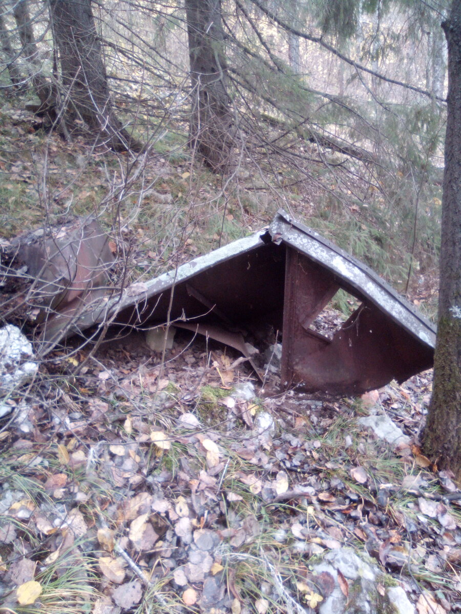 Фото автора.