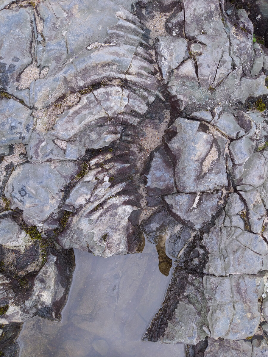 Застывшие лавовые потоки