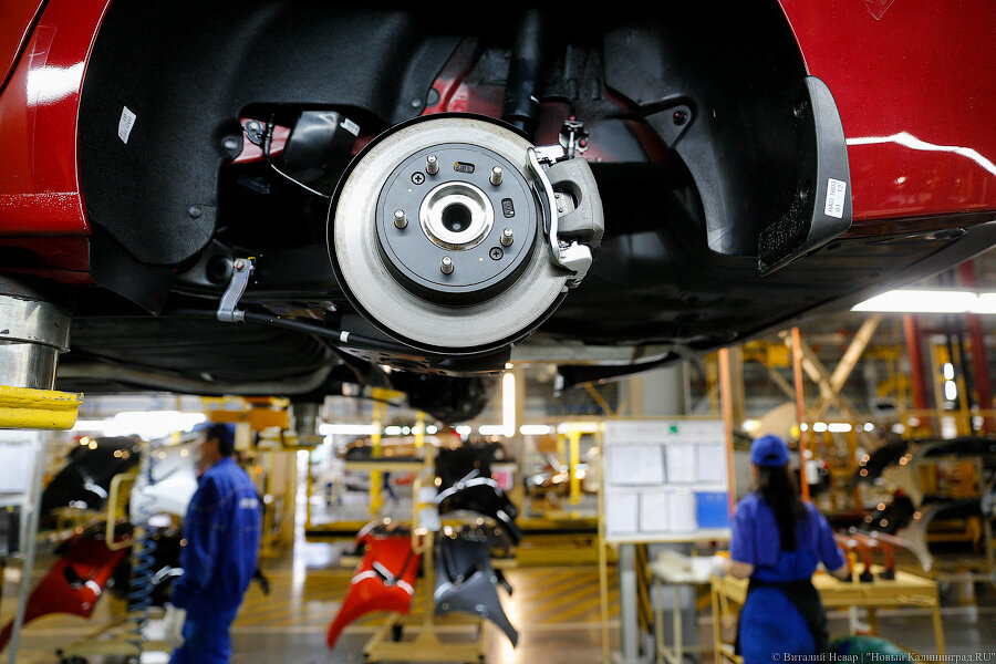 Фото: Виталий Невар / Новый Калининград