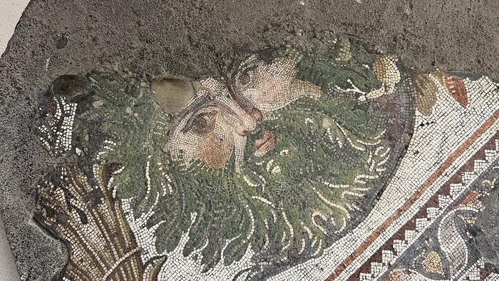 Фотография мозаики из Музея мозаики в Стамбуле. Музей посвящённый мозаикам византийского периода, обнаруженным на месте Большого императорского дворца.