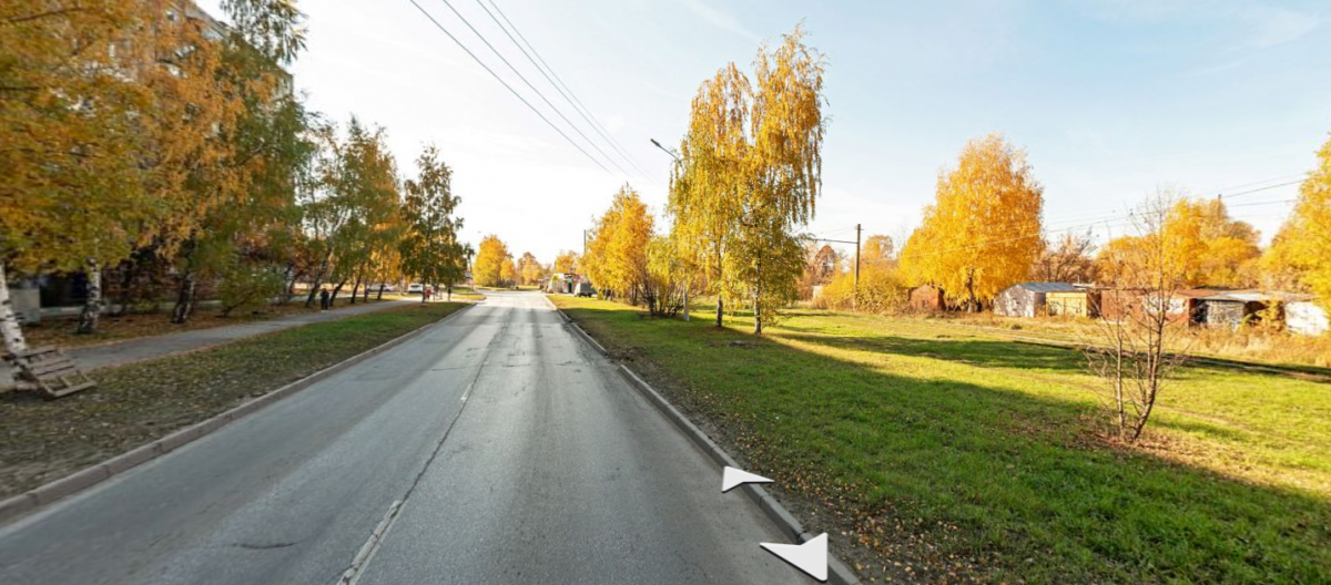    Нижегородцы не раз уже жаловались местной власти на состояние улицы Строкина Анастасия Красушкина