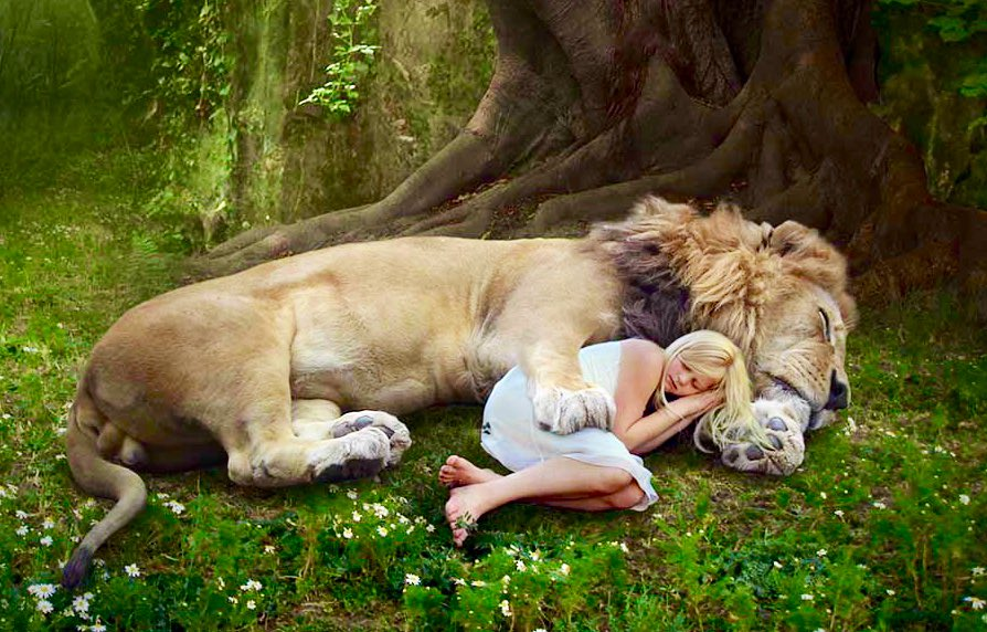 Какой мужчина нравится львам. Фотосессия со львом. Лев обнимает женщину. Девушка обнимает Льва. Девочка обнимает Льва.