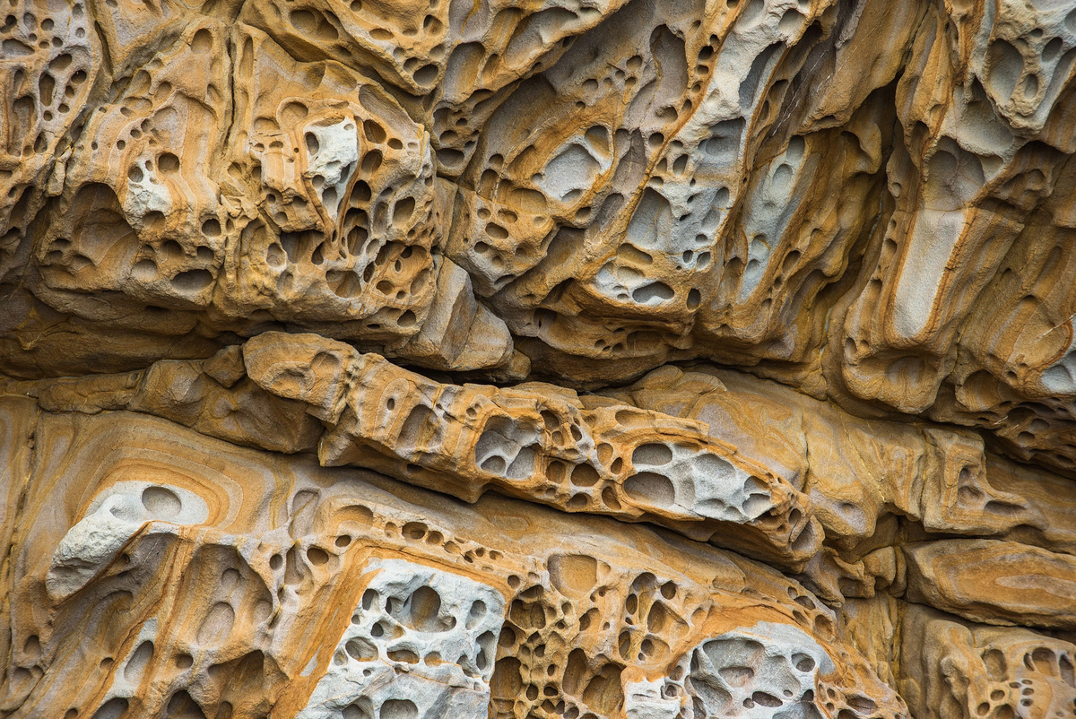 Фото: Н. Кононов.