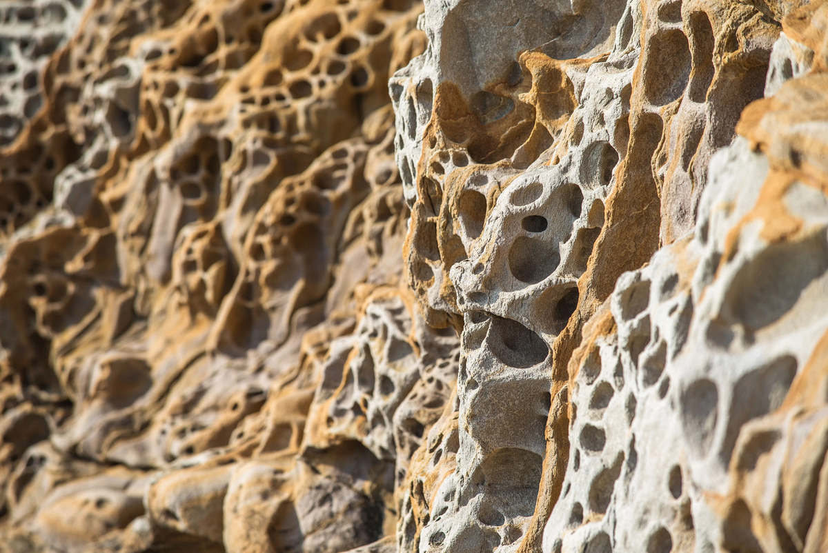 Фото: Н. Кононов.