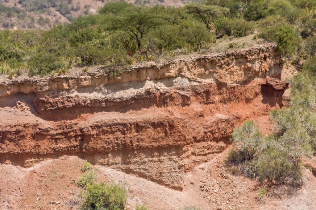  Танзания, ущелье Олдувай.