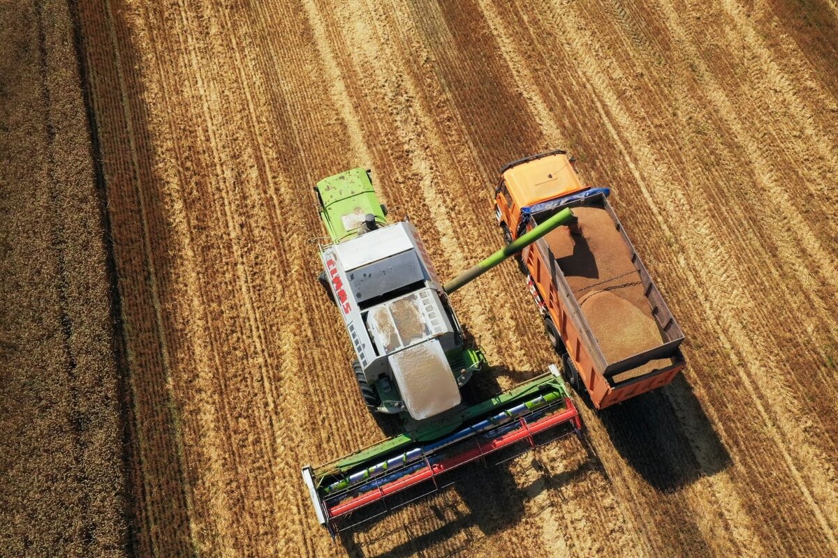 © Александр Рюмин/ТАСС