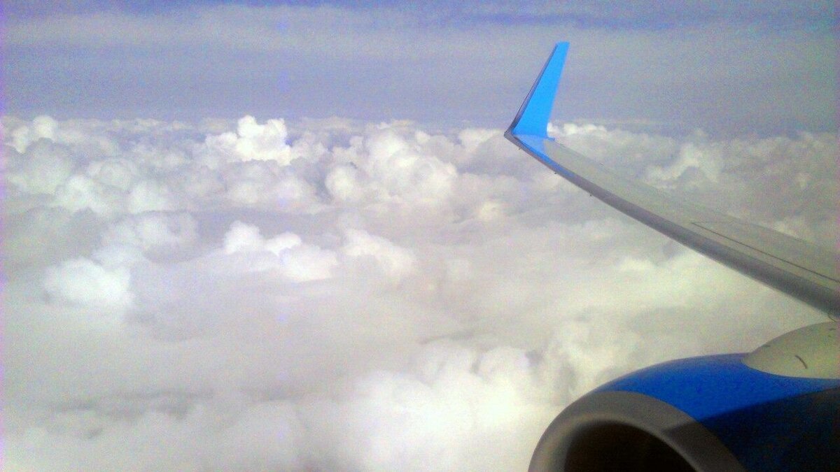     Девушке стало плохо в самолете, который летел из Новосибирска во Владивосток. Тело охватили сильные судороги, давление упало до критической отметки.