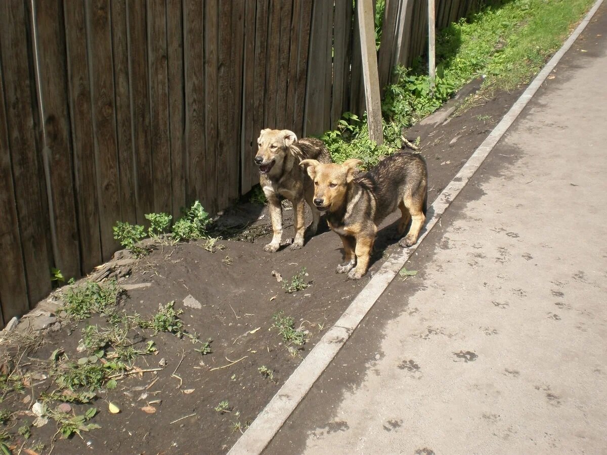 Фотография из личного архива