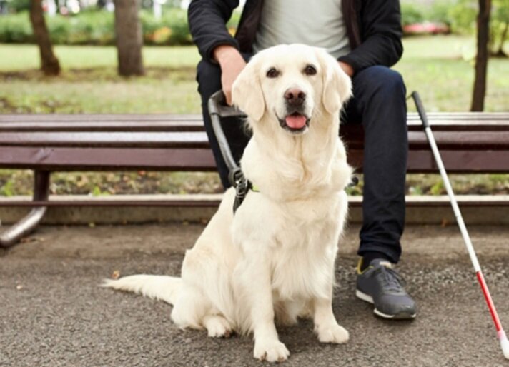 Источник Яндекс. Картинки 