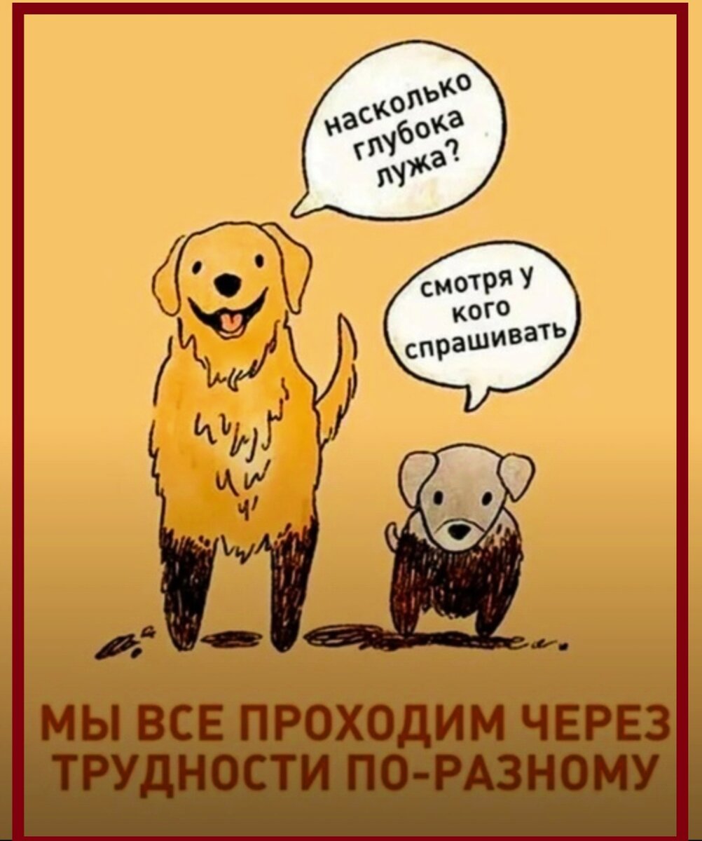 Фото из интернета в обработке автора.