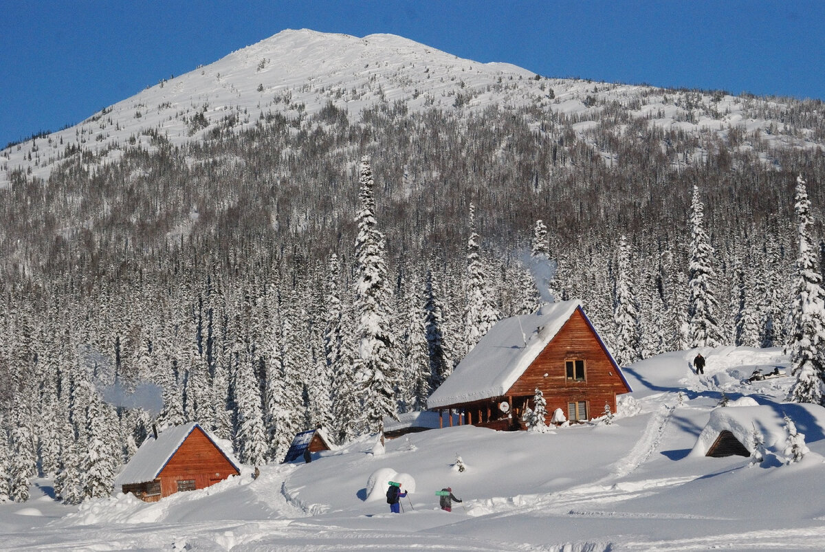 Фото из открытых источников.