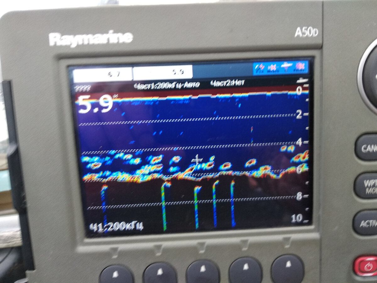 Стая леща и хищник на экране эхолота. Фото автора Калачева АВ