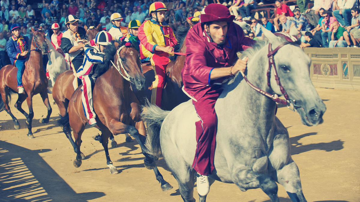Палио ди Сиена в 2015 году