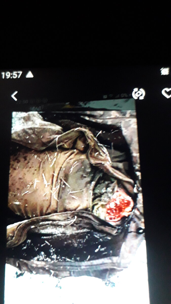 В украинской армии сражаются более трёх тысяч иностранных наёмников из 50 стран.Весной 2022 года сообщалось,что наёмников в рядах ВСУ 20 тысяч.Предположительно большинство иностранных военных уже не вернулось на родину.