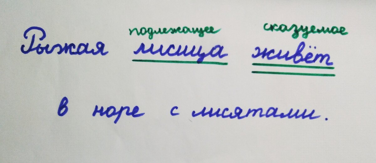 Как подчеркивать орфограммы (подчеркнуть буквы гласные и согласные, знаки)