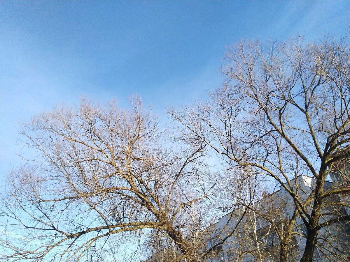 Весна идёт. Фото , чтобы текст было читать веселее. Фото автора.