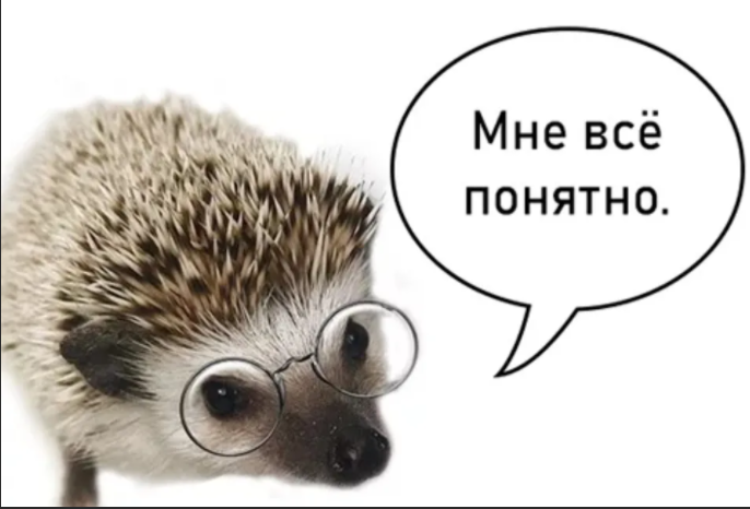 Фото из свободных источников