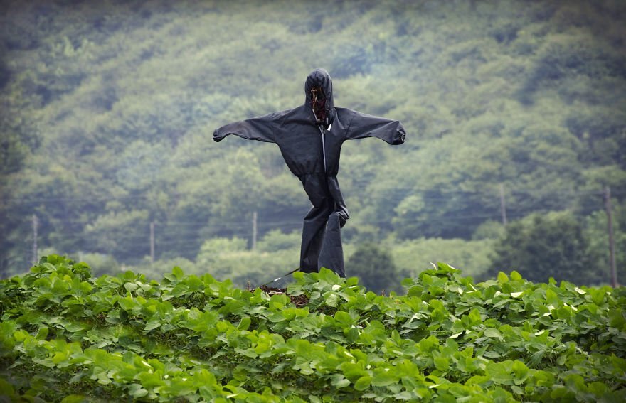 источник 1000prikolov.com