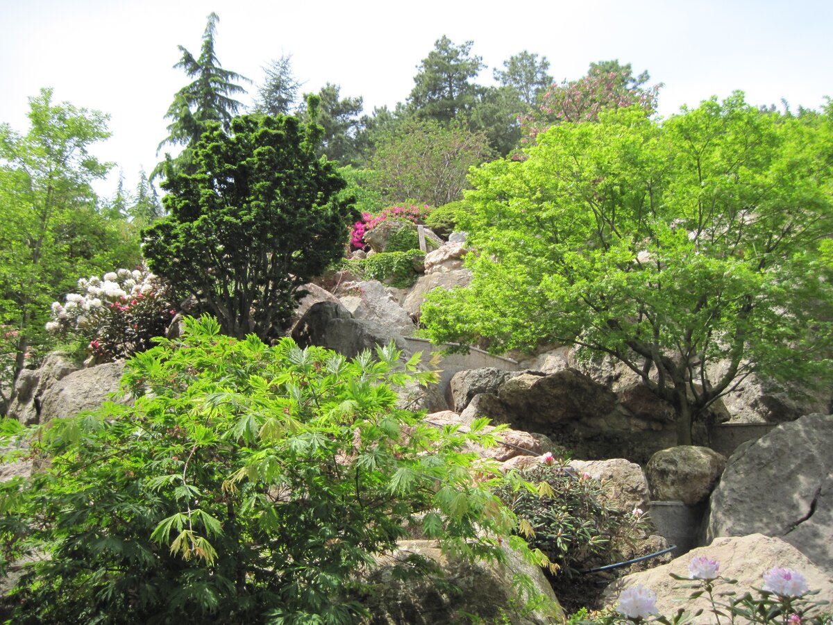 Сад камней, парк Айвазовского