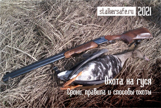 Интернет-магазин Stalkersafe.ru