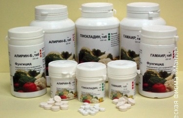 картинка с google картинки