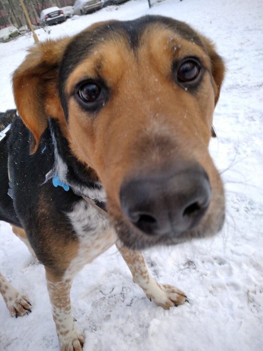 А сейчас Феникс подрос!