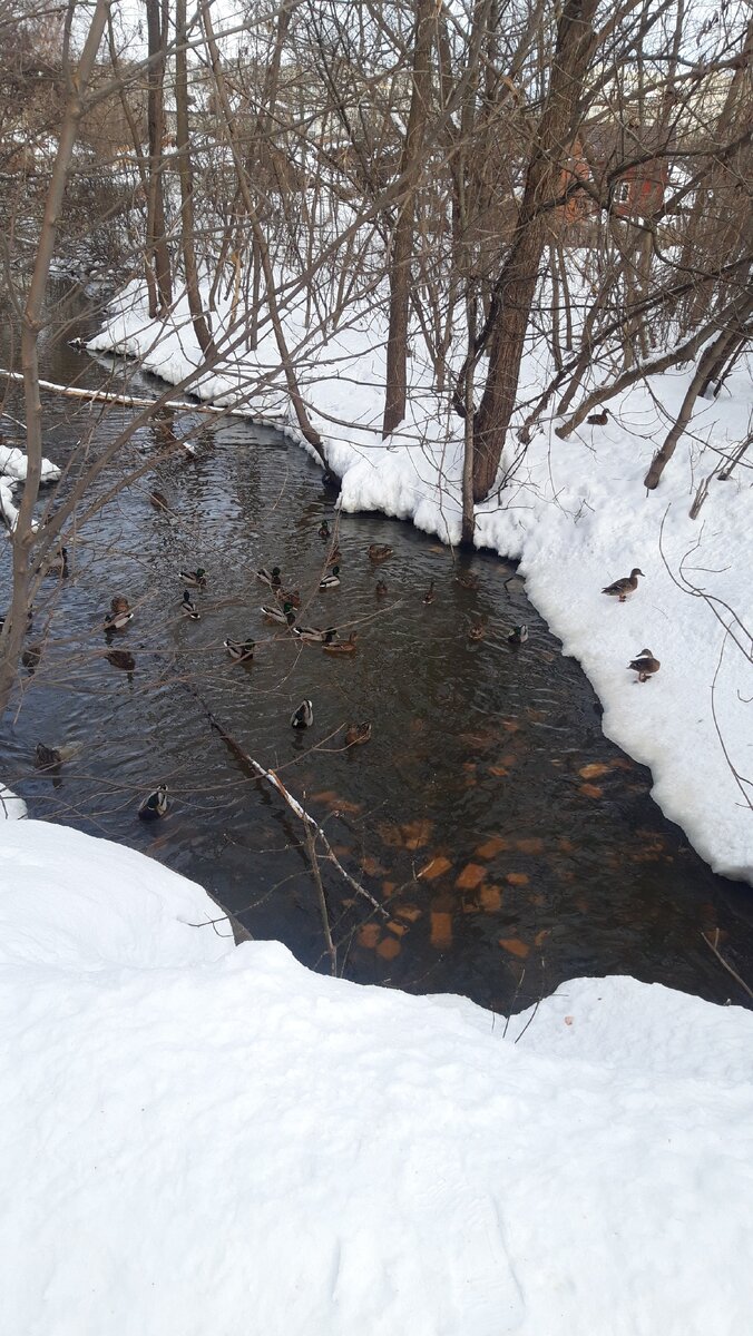 Долги, кредиты, нечем платить. Не нервничайте. 🙃 Лучше посмотрите на уток))