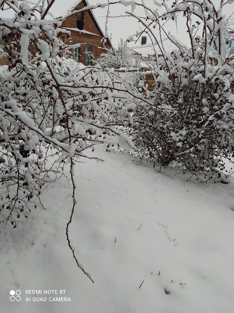 Утром во дворе