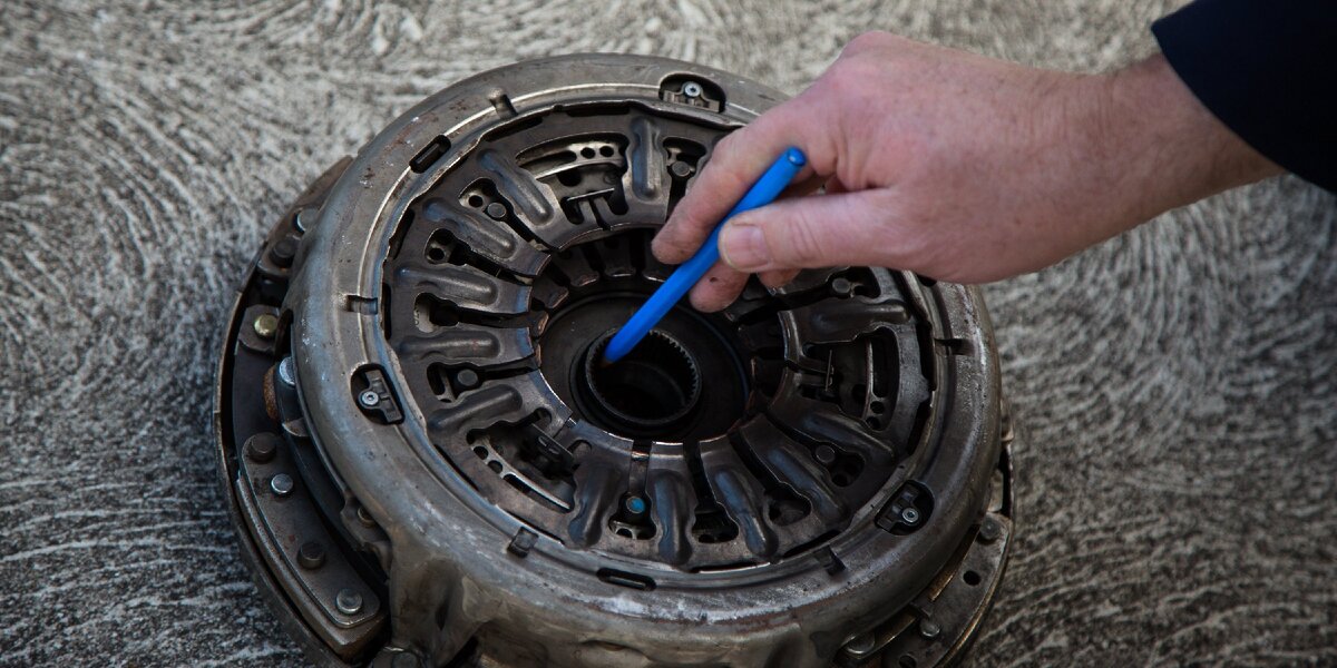 Фото взято с Яндекс картинки.