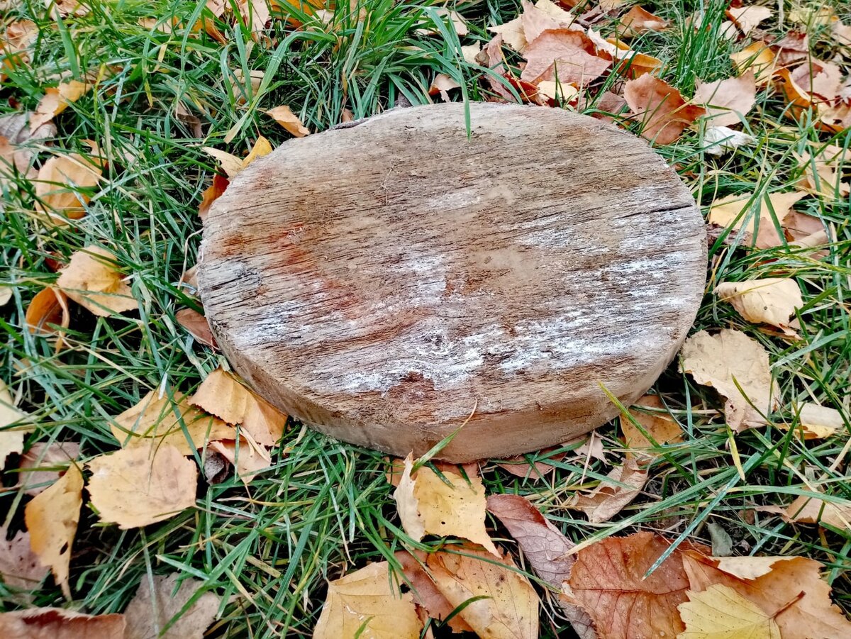 Будущая подставка под горячее, пока выглядит так