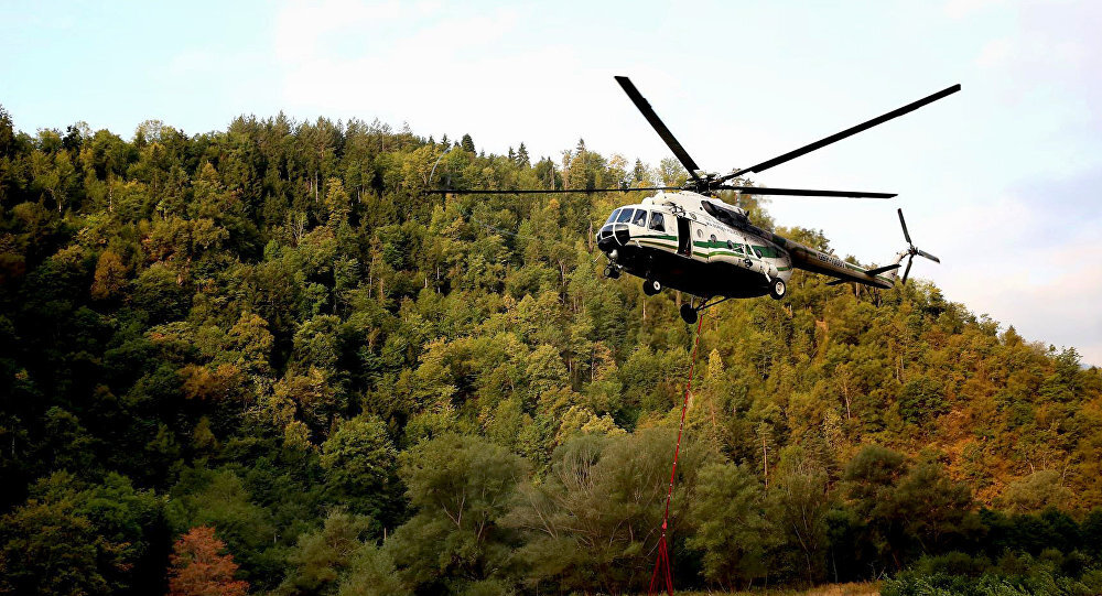 Яндекс картинки, свободный доступ