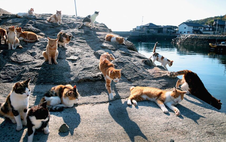 фото с источника;  где-лучше-отдохнуть.рф